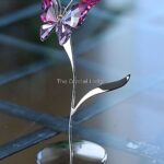 Swarovski_Paradise_bugs_Object_butterfly_amara_fuschia_rain_861937_1_WM Swarovski_Paradise_bugs_Object_butterfly_amara_fuschia_rain_861937 | The Crystal Lodge