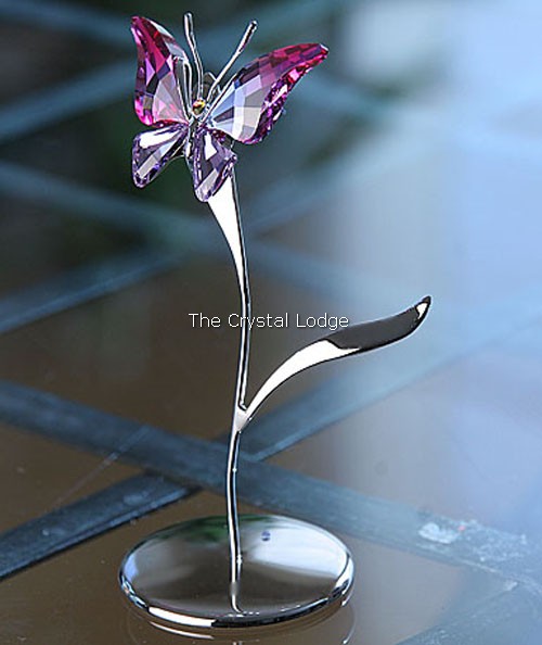 Swarovski_Paradise_bugs_Object_butterfly_amara_fuschia_rain_861937 | The Crystal Lodge