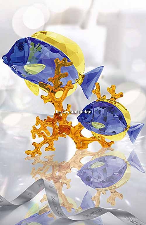 Swarovski_Paradise_fish_Doctorfish_couple_5223194 | The Crystal Lodge