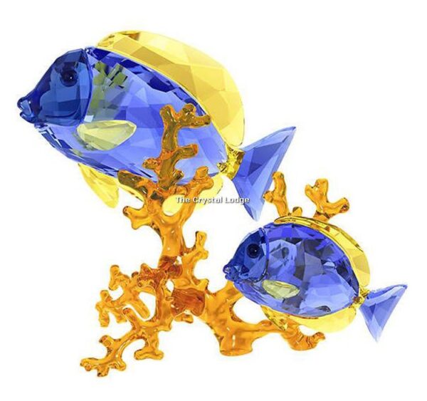 Swarovski_Paradise_fish_Doctorfish_couple_5223194 | The Crystal Lodge