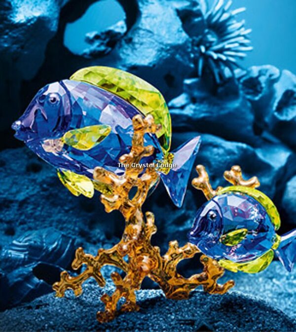 Swarovski_Paradise_fish_Doctorfish_couple_5223194 | The Crystal Lodge