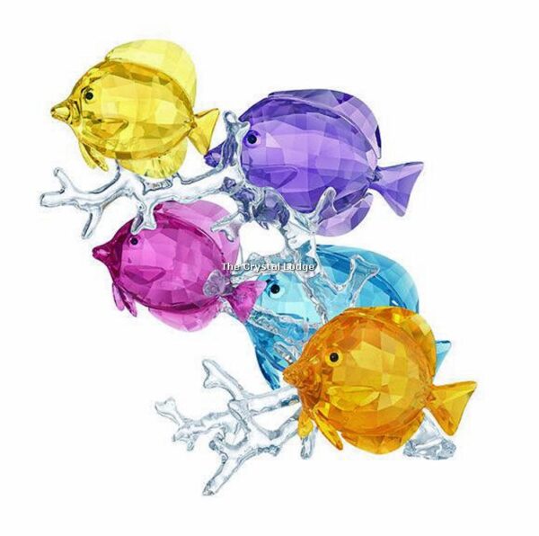 Swarovski_Paradise_fish_Rainbow_fish_family_5223195 | The Crystal Lodge