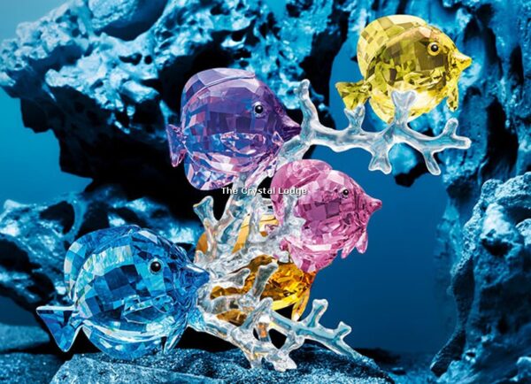 Swarovski_Paradise_fish_Rainbow_fish_family_5223195 | The Crystal Lodge