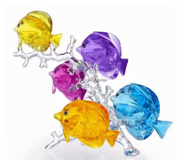 Swarovski_Paradise_fish_Rainbow_fish_family_5223195 | The Crystal Lodge