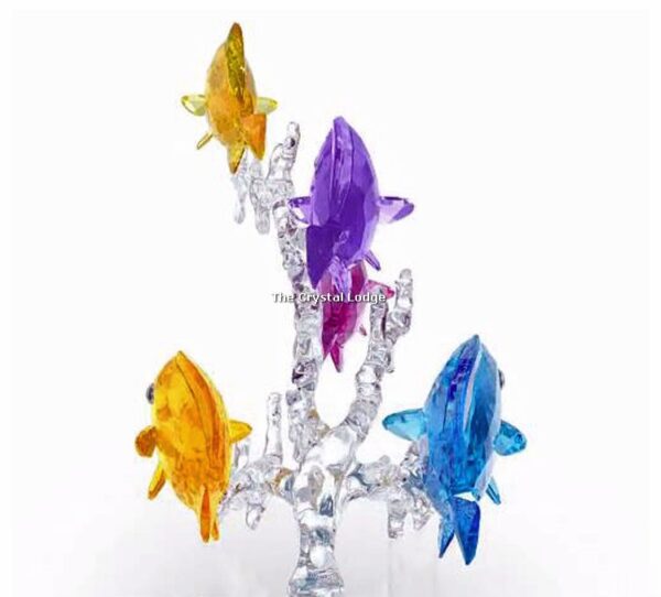 Swarovski_Paradise_fish_Rainbow_fish_family_5223195 | The Crystal Lodge