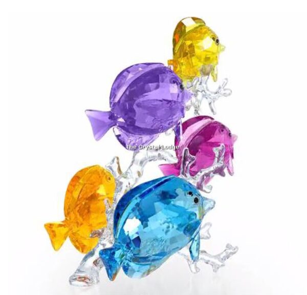 Swarovski_Paradise_fish_Rainbow_fish_family_5223195 | The Crystal Lodge
