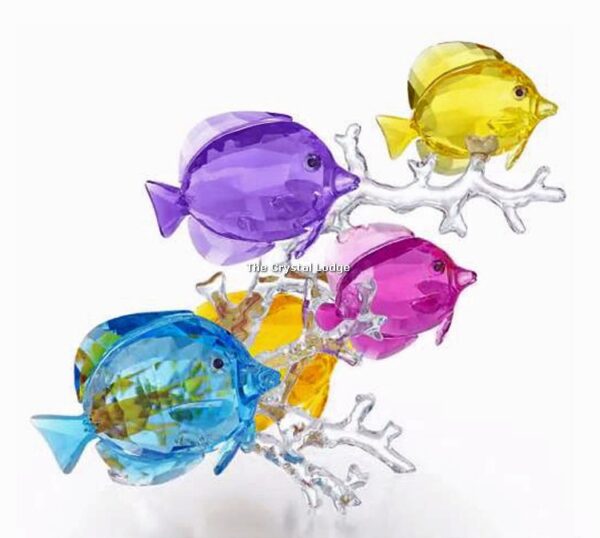Swarovski_Paradise_fish_Rainbow_fish_family_5223195 | The Crystal Lodge