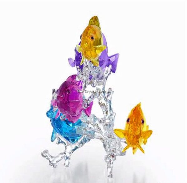 Swarovski_Paradise_fish_Rainbow_fish_family_5223195 | The Crystal Lodge
