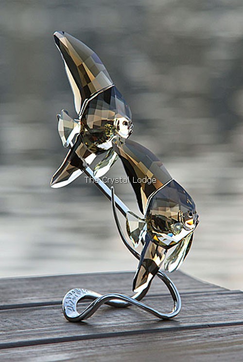 Swarovski_Paradise_fish_south_sea_Batfish_smoky_quartz_1036571 | The Crystal Lodge