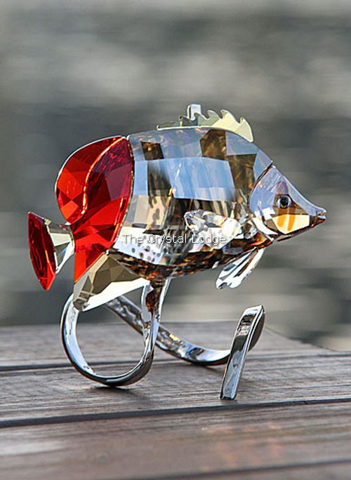 Swarovski_Paradise_fish_south_sea_Butterfly_fish_light_siam_1040347 | The Crystal Lodge