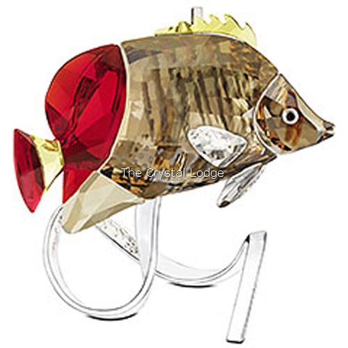 Swarovski_Paradise_fish_south_sea_Butterfly_fish_light_siam_1040347 | The Crystal Lodge