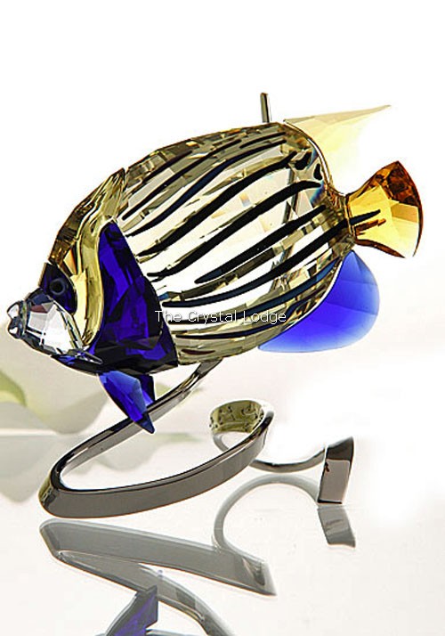 Swarovski_Paradise_fish_south_sea_Emperor_Angel_fish_jonquil_1072590 | The Crystal Lodge