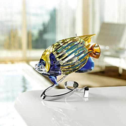 Swarovski_Paradise_fish_south_sea_Emperor_Angel_fish_jonquil_1072590 | The Crystal Lodge
