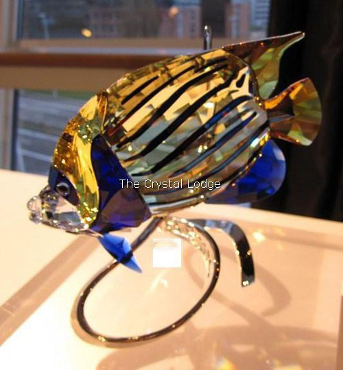 Swarovski_Paradise_fish_south_sea_Emperor_Angel_fish_jonquil_1072590 | The Crystal Lodge