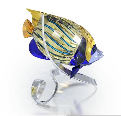 Swarovski_Paradise_fish_south_sea_Emperor_Angel_fish_jonquil_1072590 | The Crystal Lodge