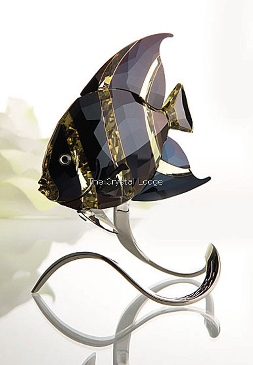 Swarovski_Paradise_fish_south_sea_French_Emperor_Angel_fish_moroda_jonquil_1083776 | The Crystal Lodge