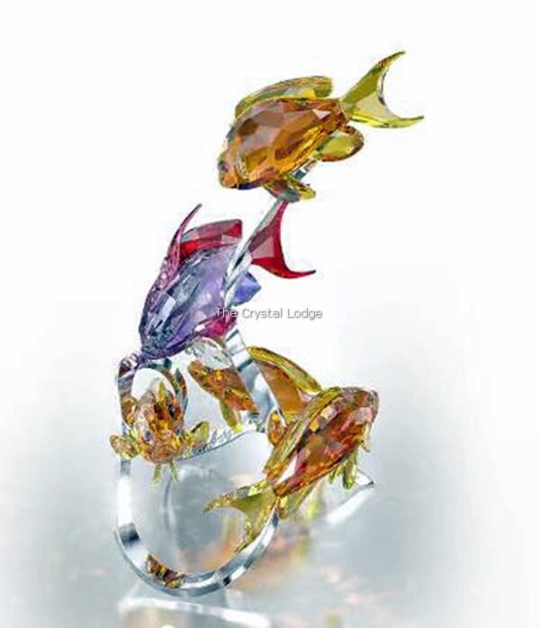 Swarovski_Paradise_fish_south_sea_Sea_Goldies_topaz_1083778 | The Crystal Lodge