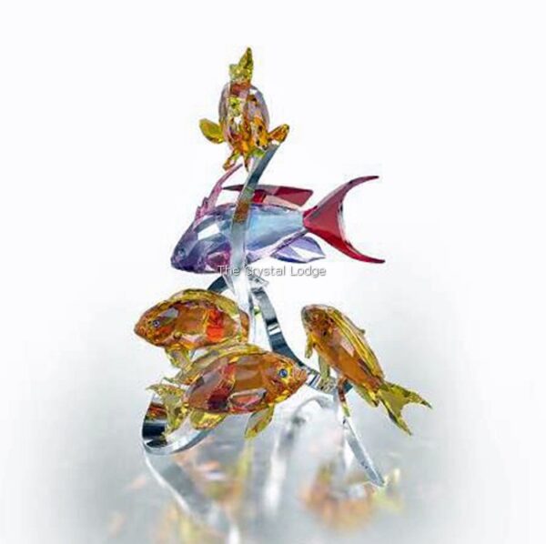 Swarovski_Paradise_fish_south_sea_Sea_Goldies_topaz_1083778 | The Crystal Lodge