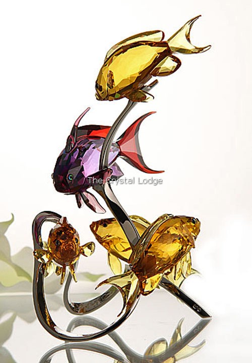 Swarovski_Paradise_fish_south_sea_Sea_Goldies_topaz_1083778 | The Crystal Lodge