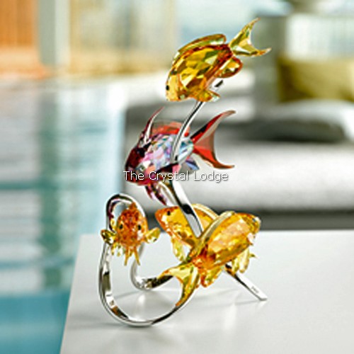 Swarovski_Paradise_fish_south_sea_Sea_Goldies_topaz_1083778 | The Crystal Lodge