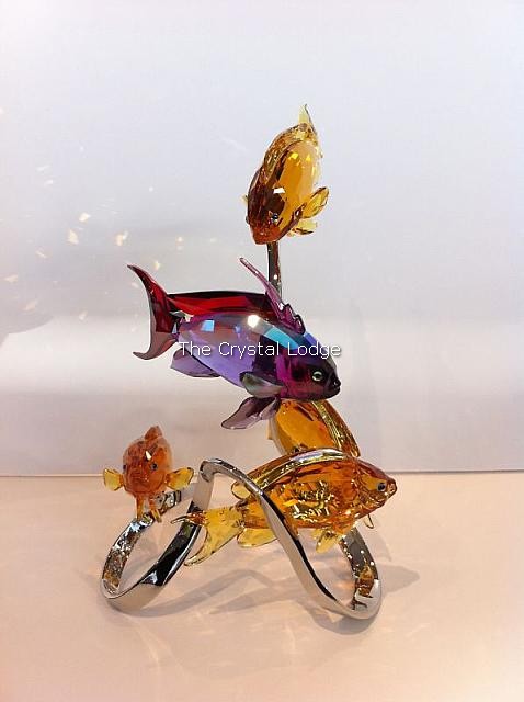 Swarovski_Paradise_fish_south_sea_Sea_Goldies_topaz_1083778 | The Crystal Lodge