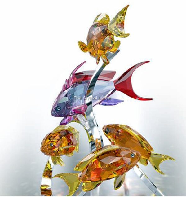 Swarovski_Paradise_fish_south_sea_Sea_Goldies_topaz_1083778 | The Crystal Lodge