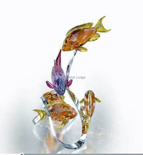 Swarovski_Paradise_fish_south_sea_Sea_Goldies_topaz_1083778 | The Crystal Lodge