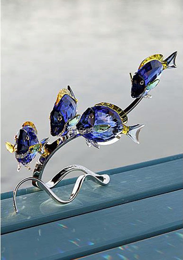 Swarovski_Paradise_fish_south_sea_Surgeonfish_scuba_blue_1034023 | The Crystal Lodge