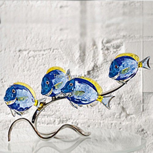 Swarovski_Paradise_fish_south_sea_Surgeonfish_scuba_blue_1034023 | The Crystal Lodge