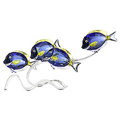 Swarovski_Paradise_fish_south_sea_Surgeonfish_scuba_blue_1034023 | The Crystal Lodge
