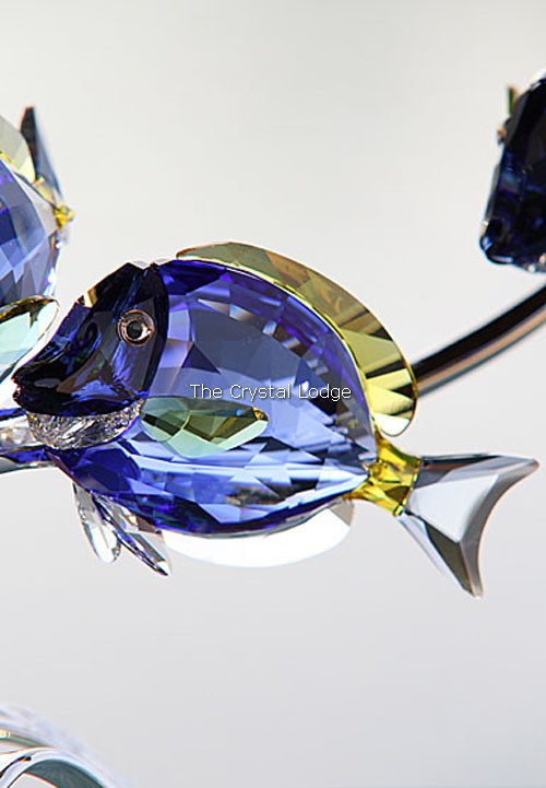 Swarovski_Paradise_fish_south_sea_Surgeonfish_scuba_blue_1034023 | The Crystal Lodge