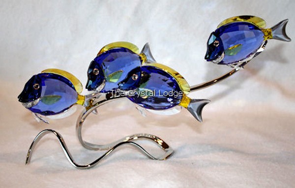 Swarovski_Paradise_fish_south_sea_Surgeonfish_scuba_blue_1034023 | The Crystal Lodge