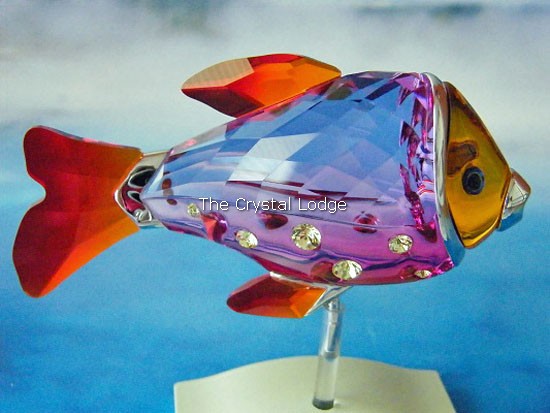 Swarovski_Paradise_fish_south_sea_object_Camaret_fuschia_rain_626205 | The Crystal Lodge