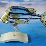Swarovski_Paradise_fish_south_sea_object_Catumbela_ligiht_sapphire_656974_1_WM Swarovski_Paradise_fish_south_sea_object_Catumbela_ligiht_sapphire_656974 | The Crystal Lodge