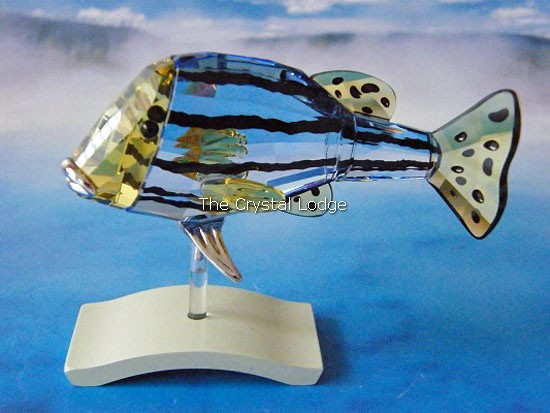 Swarovski_Paradise_fish_south_sea_object_Catumbela_ligiht_sapphire_656974 | The Crystal Lodge