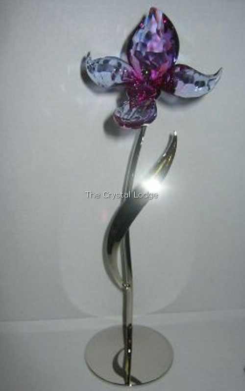 Swarovski_Paradise_flower_dorora_fuschia_rain_681542 | The Crystal Lodge