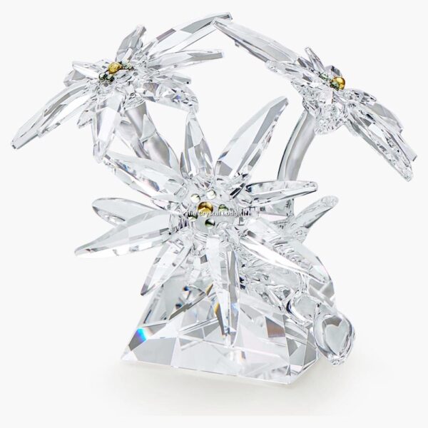 Swarovski_SCS_2020_Edelweiss_5493708 | The Crystal Lodge