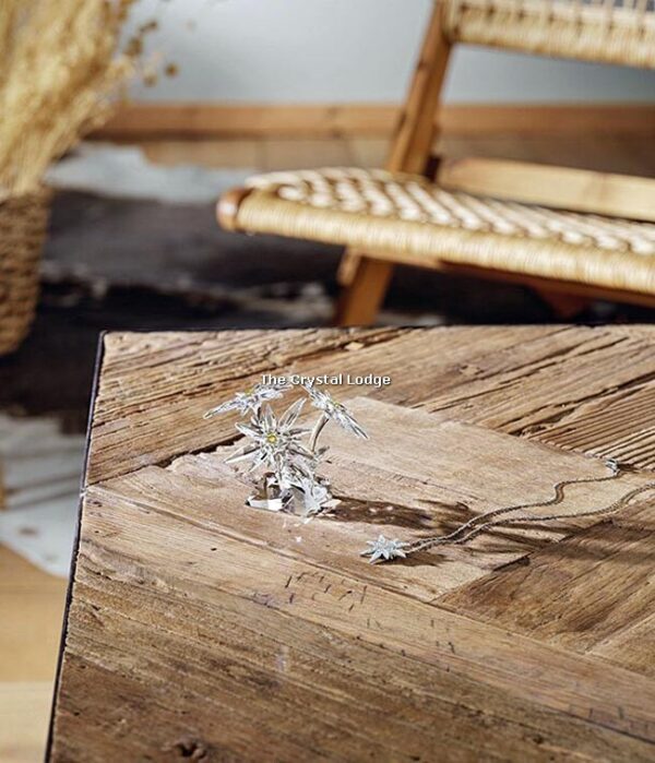 Swarovski_SCS_2020_Edelweiss_5493708 | The Crystal Lodge