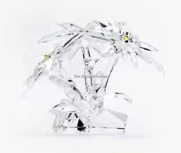 Swarovski_SCS_2020_Edelweiss_5493708 | The Crystal Lodge