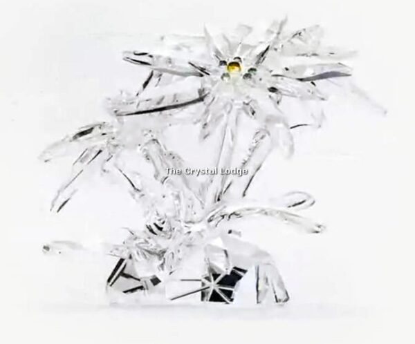 Swarovski_SCS_2020_Edelweiss_5493708 | The Crystal Lodge