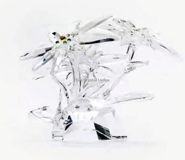 Swarovski_SCS_2020_Edelweiss_5493708 | The Crystal Lodge