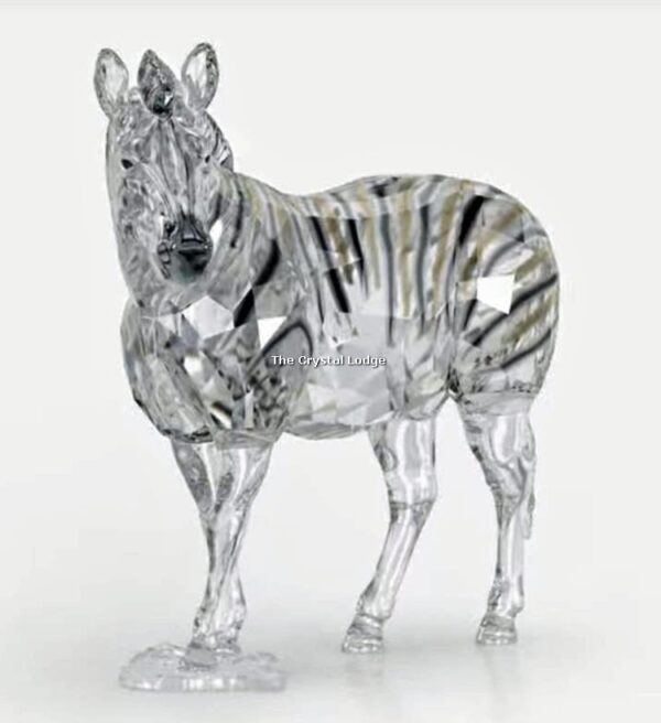 Swarovski_SCS_2021_Zebra_Amai_5550663 | The Crystal Lodge
