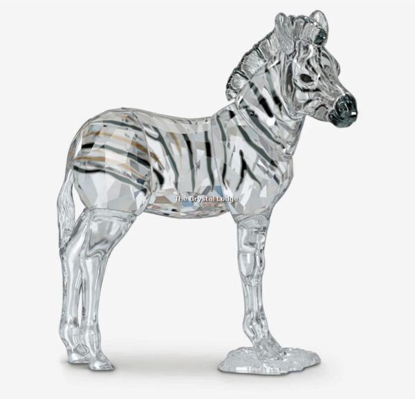 Swarovski_SCS_2021_Zebra_baby_Zuri_5557906 | The Crystal Lodge
