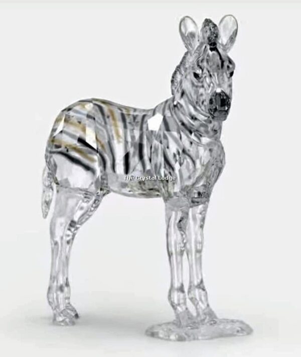 Swarovski_SCS_2021_Zebra_baby_Zuri_5557906 | The Crystal Lodge
