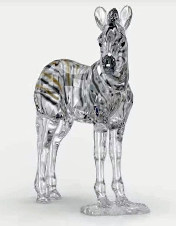 Swarovski_SCS_2021_Zebra_baby_Zuri_5557906 | The Crystal Lodge