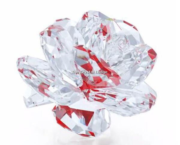 Swarovski__rose_2017_5249251 | The Crystal Lodge