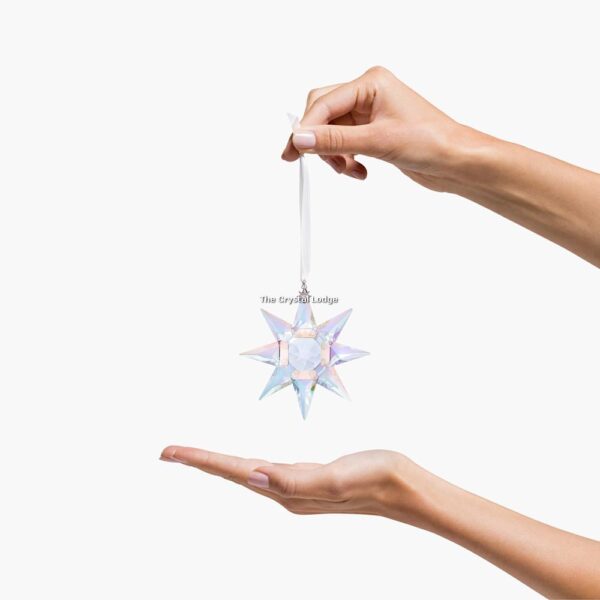 Swarovski_anniversary_ornament_LE_2020_5504083 | The Crystal Lodge