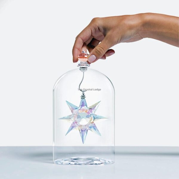 Swarovski_anniversary_ornament__set_LE_2020_5531252 | The Crystal Lodge