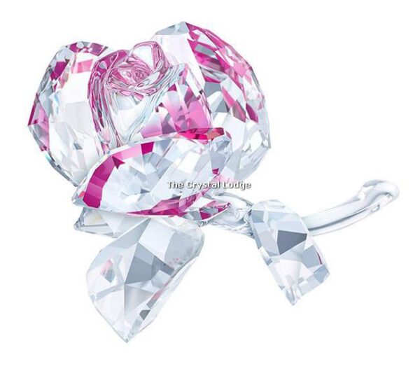 Swarovski_blossoming_rose_2017_5248878 | The Crystal Lodge