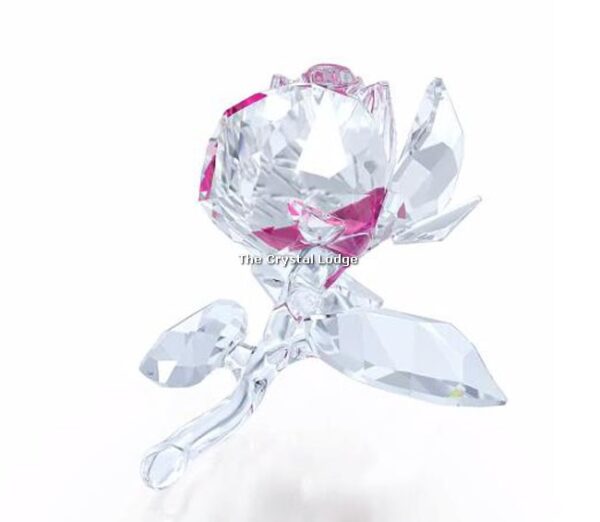 Swarovski_blossoming_rose_2017_5248878 | The Crystal Lodge